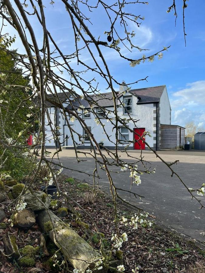 Willow House Bed & Breakfast And Orchard Studios Self Catering Limavady Ngoại thất bức ảnh